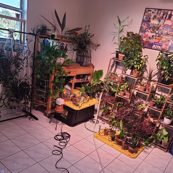 Meet your Posher, Tamara - Picture 6 of 8